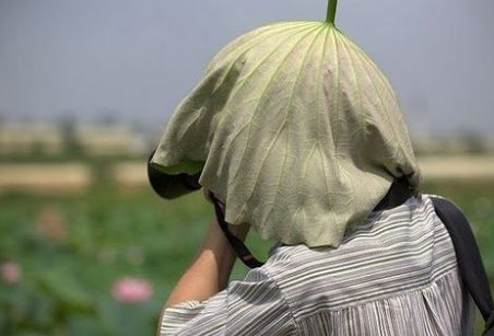 Fotoğraf çekmek için resmen kıvrandılar - Resim: 3