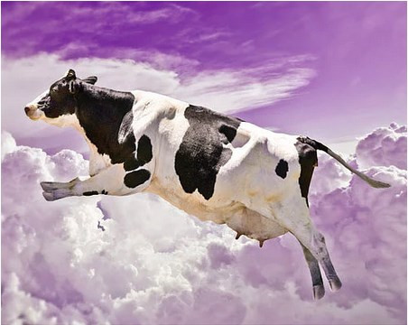 Dünyanın en garip yağmurları - Resim: 2