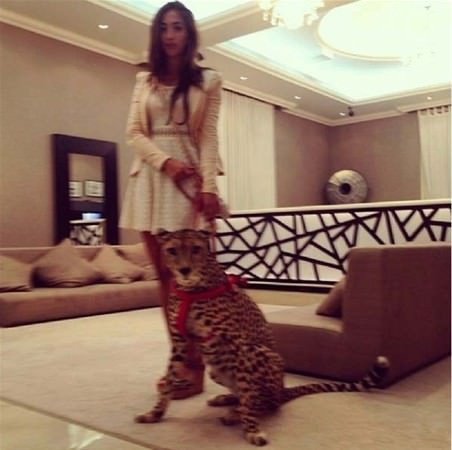 Dubai'nin zenginleri ve lüks hayatları! - Resim: 1