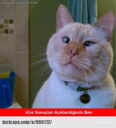 Güldüren vize haftası capsleri - Resim: 3