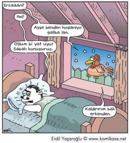 En komik karikatürler - Resim: 13