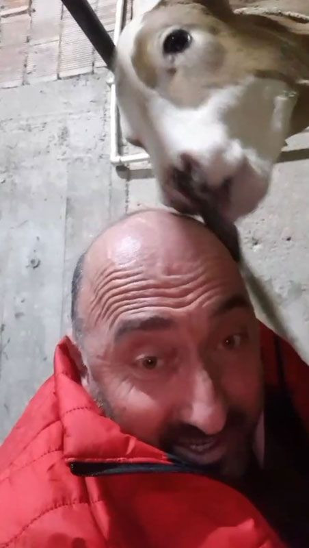 Trabzon'da başını buzağıya yalatan adamın iddiası: Saçlarım çıkıyor - Resim: 4