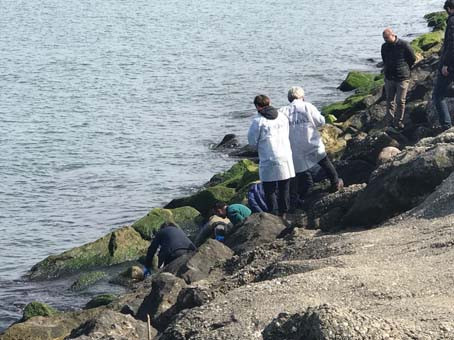 Vahşet! Kafasını kollarını ve bacaklarını kesip sahile attılar... - Resim: 2