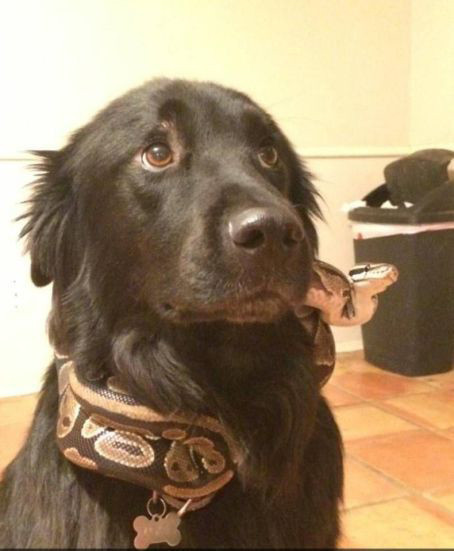 Haftanın en sevilen fotoğrafları - Resim: 2