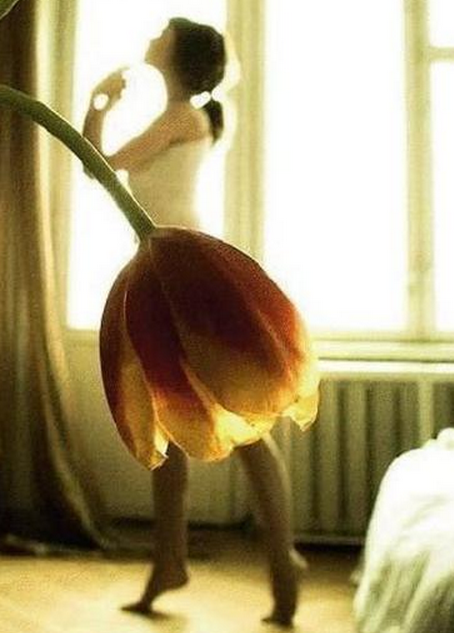 Bu fotoğraflara iki kere bakın - Resim: 4