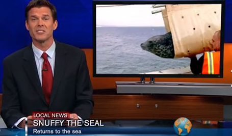 İnternette her gördüğünüze inanmayın - Resim: 1