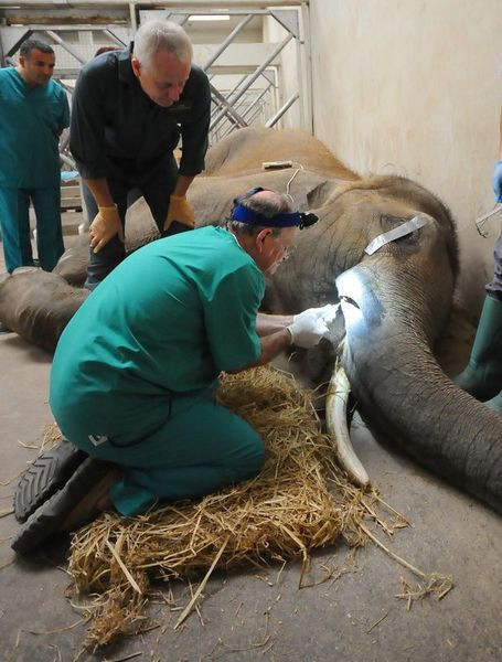 Türkiye'de bir ilk yaşandı! - Resim: 4