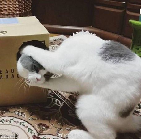 Bu anı görenler kameralara sarıldı işin aslı çok başkaydı - Resim: 2