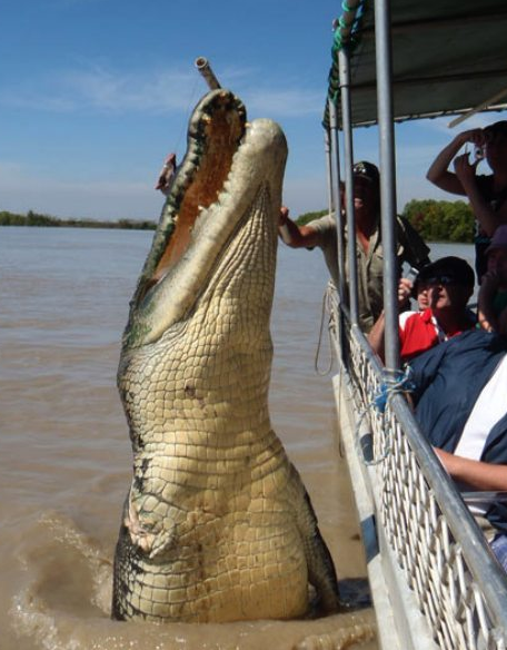 Günün rekor kıran bomba kareleri - Resim: 4
