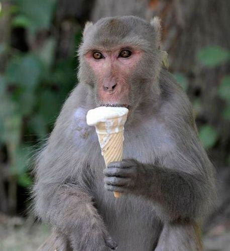 Hayattan en ilginç fotoğraf kareleri - Resim: 1