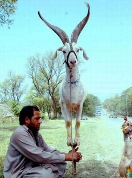 Burada herşey gerçek! - Resim: 3