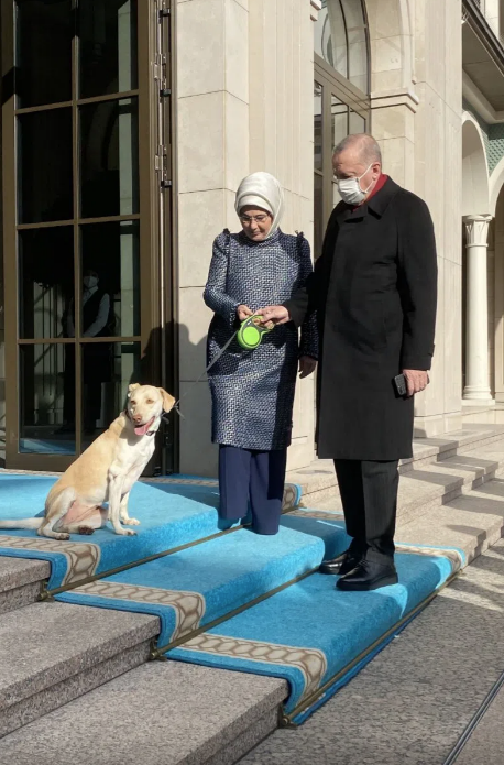 Emine Erdoğan’dan Cumhurbaşkanı Erdoğan paylaşımı! Leblebi ile uğurladık - Resim: 1