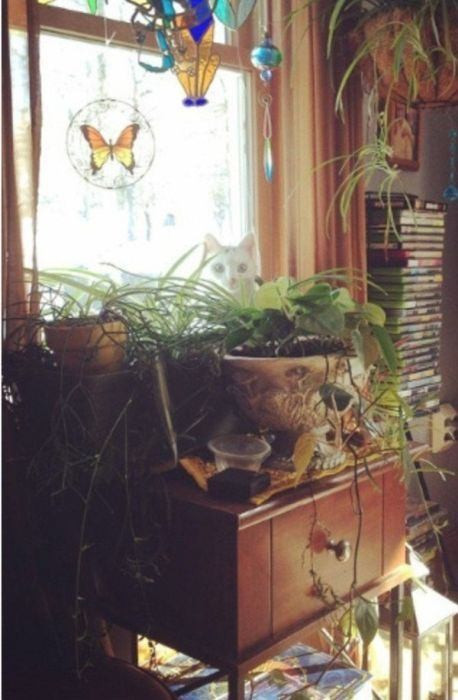 Bu fotoğraftaki detayı bulabilmek kabiliyet istiyor! - Resim: 1