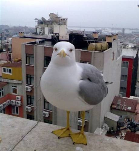 Bu kareler gerçekten şaşırtıyor - Resim: 3