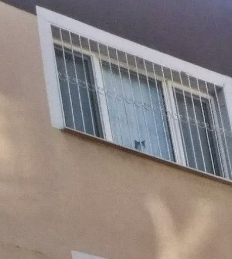 İzmir'de kontrollü yıkım sırasında 8'inci kattan kedi atladı! Sahibinin gözyaşları sel oldu - Resim: 3