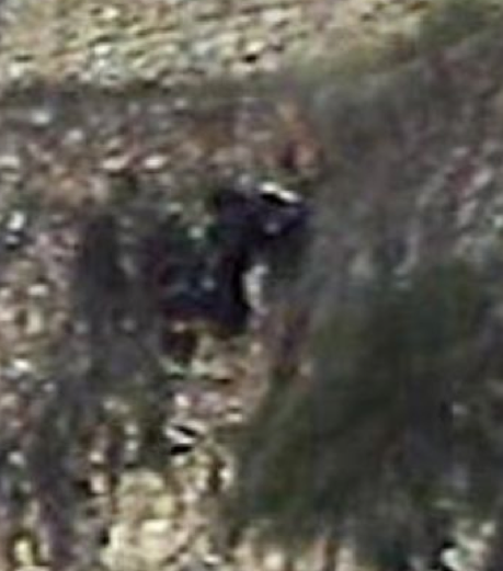 Saniye saniye böyle ölüme gitti - Resim: 4