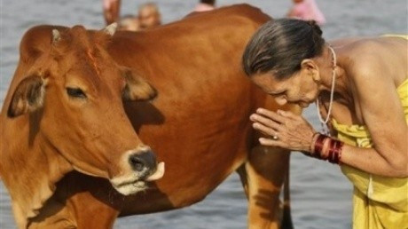 Hindistan'da inek öldürene ömür boyu hapis - Resim: 1