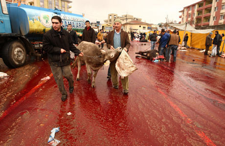 Kurban manzaraları - Resim: 3