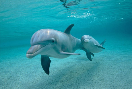 2 saat ömrü var - Resim: 2