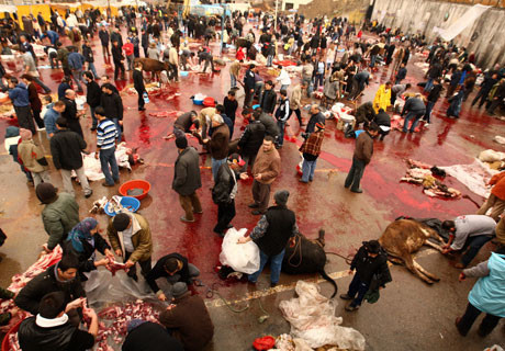 Kurban manzaraları - Resim: 4