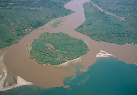 200 insan yiyen timsah - Resim: 3