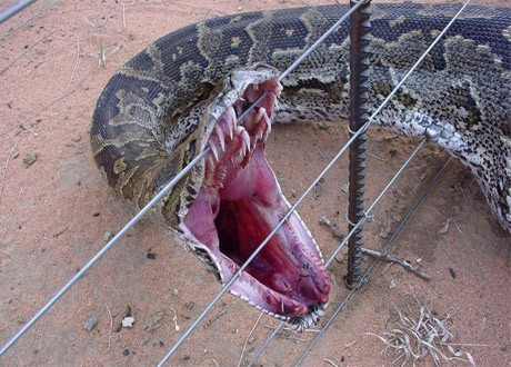 2 saat ömrü var - Resim: 4