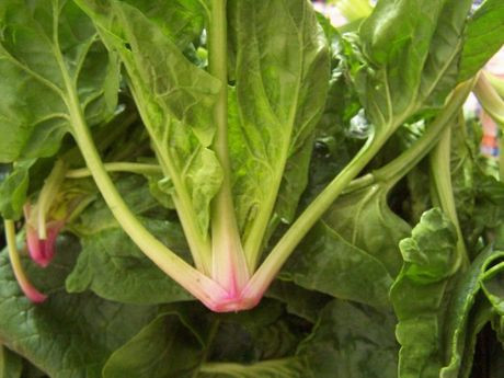 Bu gıdalarla ömrünüzü uzatın - Resim: 4