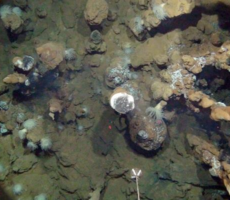 El değmemiş hazine - Resim: 3