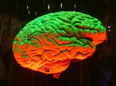 İnsan bedeniyle ilgili gerçekler - Resim: 3