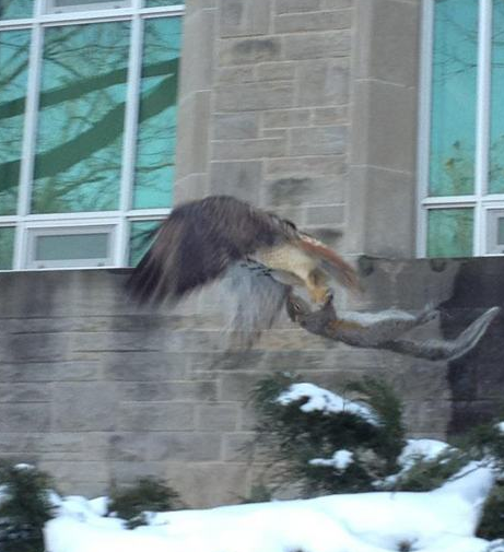 Bu fotoğraflar sanal alemde rekor kırıyor - Resim: 2