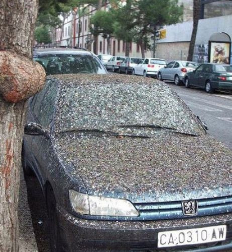 Günün en komik fotoğrafları - Resim: 1