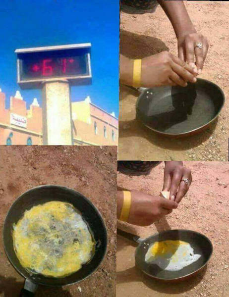 Günün en ilginç fotoğrafları - Resim: 3