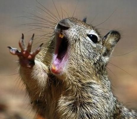 Günün en bomba kareleri - Resim: 4