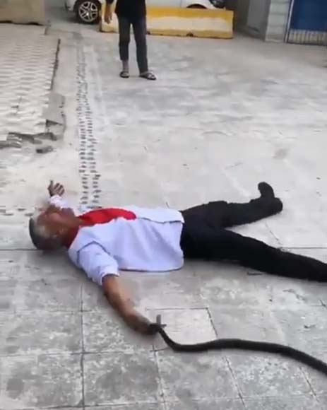 Adana'da kendini yılana ısırtan adam baygınlık geçirdi - Resim: 0