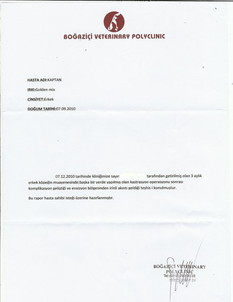 Bu görüntüler kan donduracak! - Resim: 4