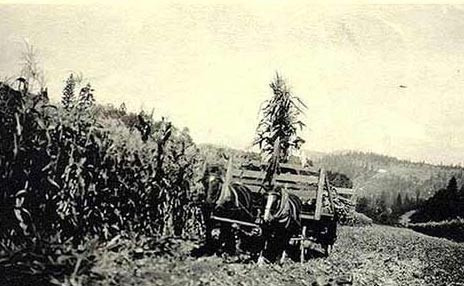 İşte çekilen ilk UFO fotoğrafı! - Resim: 2