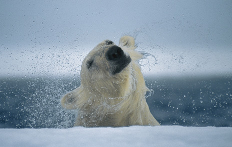 50 yılda bu kareler tarih olacak! - Resim: 3