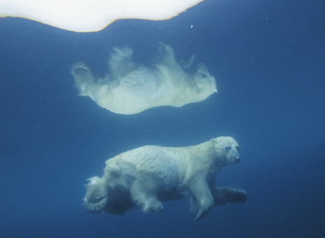 50 yılda bu kareler tarih olacak! - Resim: 2