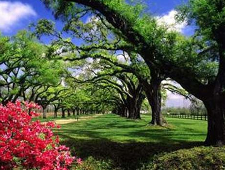 Bunların hepsi Türkiye'de bedava - Resim: 1