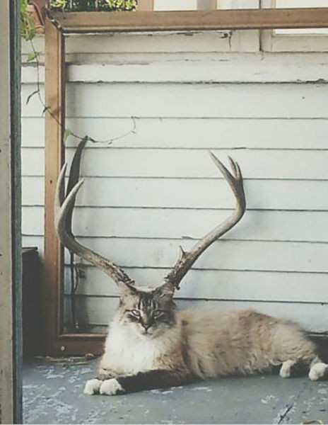 İki kere bakacağınız fotoğraflar.. - Resim: 1