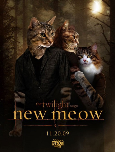 Film afişlerinin kedili versiyonuna bakın! - Resim: 1