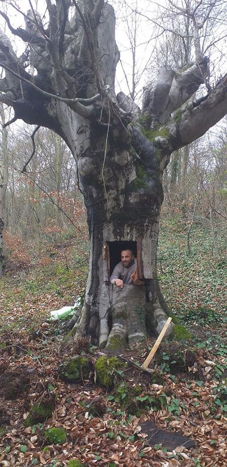 Koronavirüsten korunmak için ağaç kovuğuna giren kişi konuştu - Resim: 0