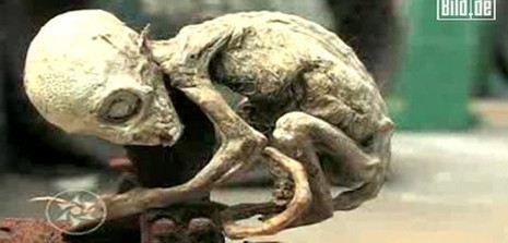 Kimse ne olduğunu bilmiyor bilim dünyası şokta! - Resim: 1