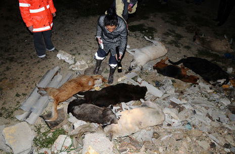 İstanbul'da katliam yaptılar - Resim: 4