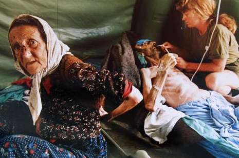 Srebreniça katliamının 16'ıncı yılı - Resim: 3