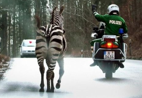 Sanal alemin en çok tıklanan kareleri - Resim: 4