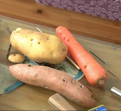 Sebzelerden müzik aleti yaptı yetmedi tuğlaya yöneldi - Resim: 1