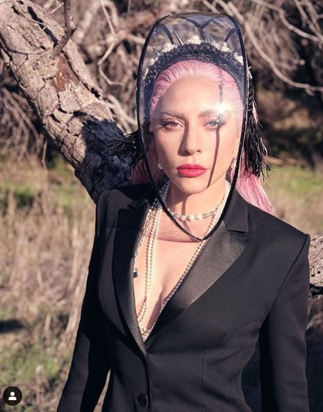 Koronavirüs için bağış yapan Lady Gaga: Hepimiz aynı gemide değiliz - Resim: 1