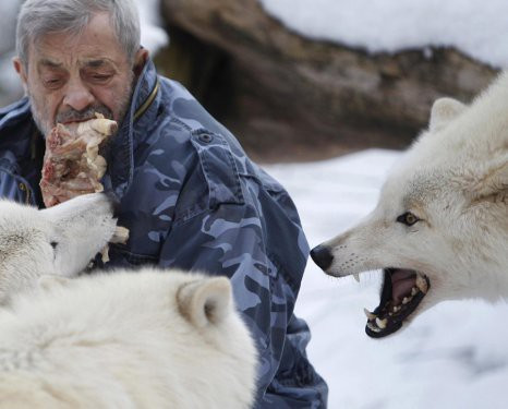 Bu adam kurtlarla yaşıyor! - Resim: 1