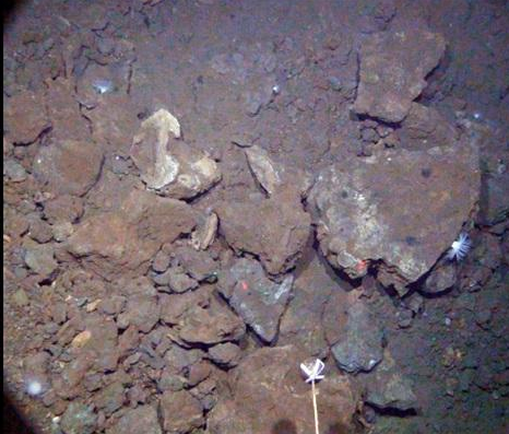 El değmemiş hazine - Resim: 2